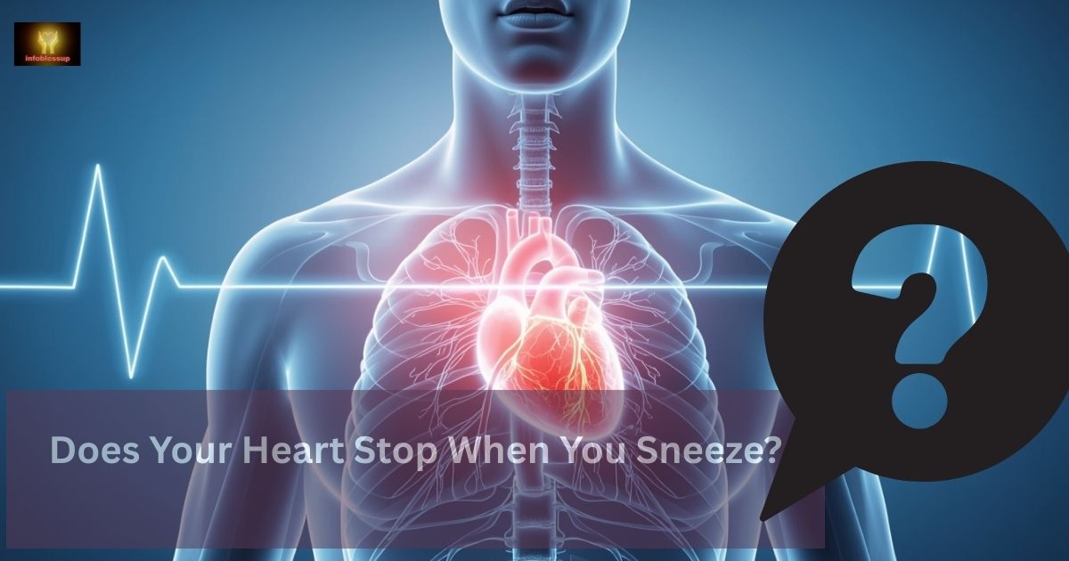 Does Your Heart Stop When You Sneeze?