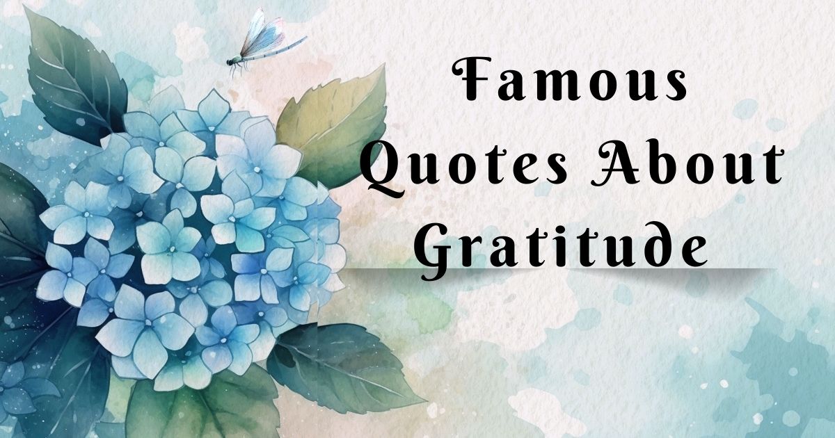  Quotes About Gratitude 